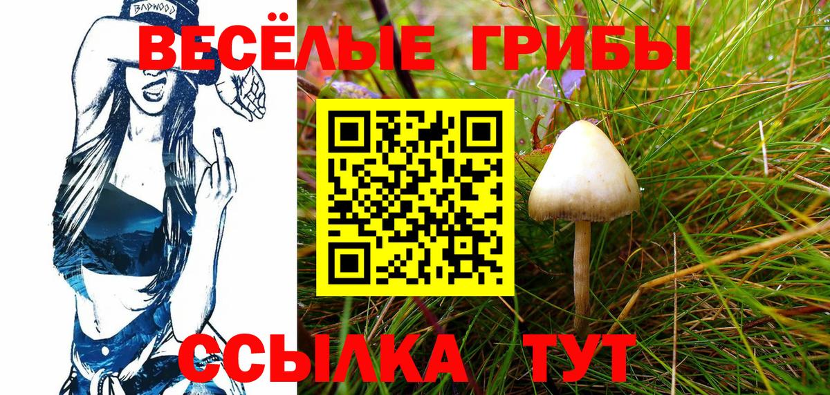 Арзамас  Псилоцибиновые грибы Psilocybe  Вход с VPN 